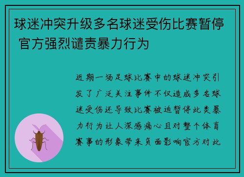 球迷冲突升级多名球迷受伤比赛暂停 官方强烈谴责暴力行为